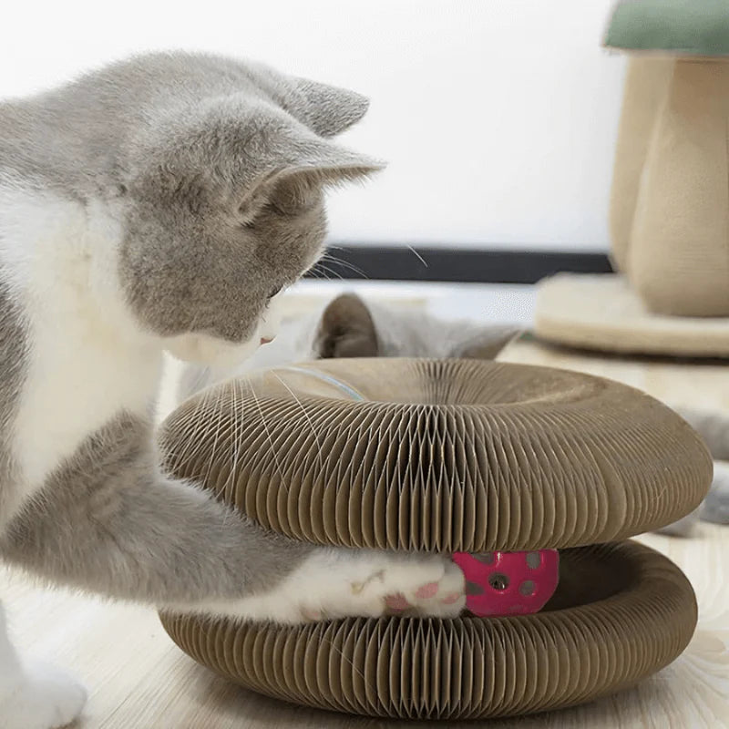 Magic Cat Scratching Board