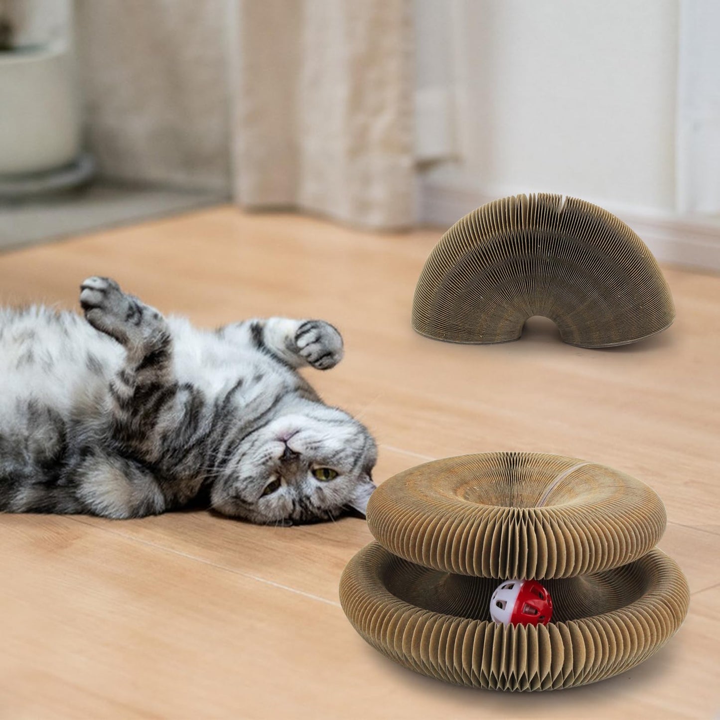 Magic Cat Scratching Board