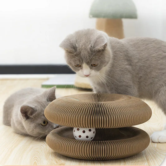 Magic Cat Scratching Board
