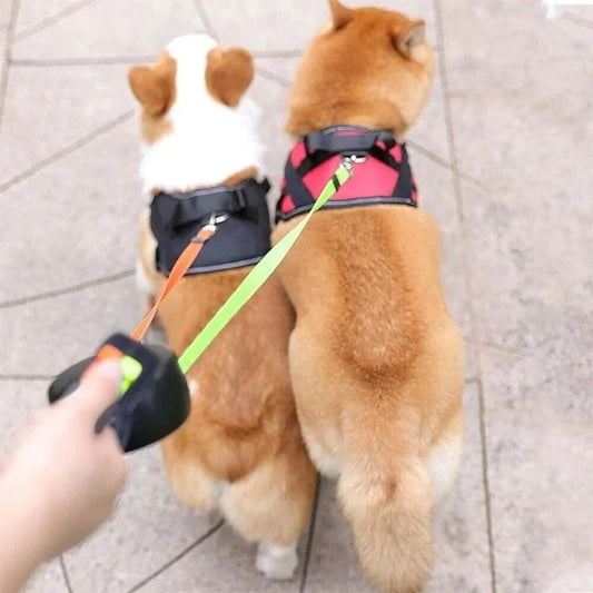 3-in-1 Dual Retractable Dog Leash