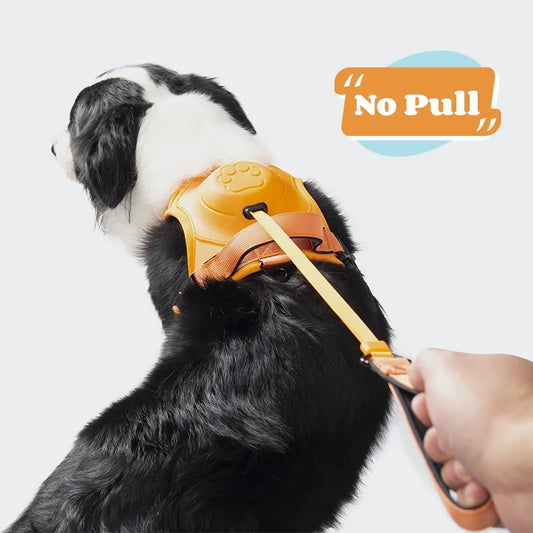 Dog Harness and Retractable Leash