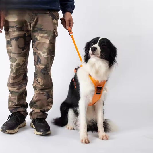 Dog Harness and Retractable Leash